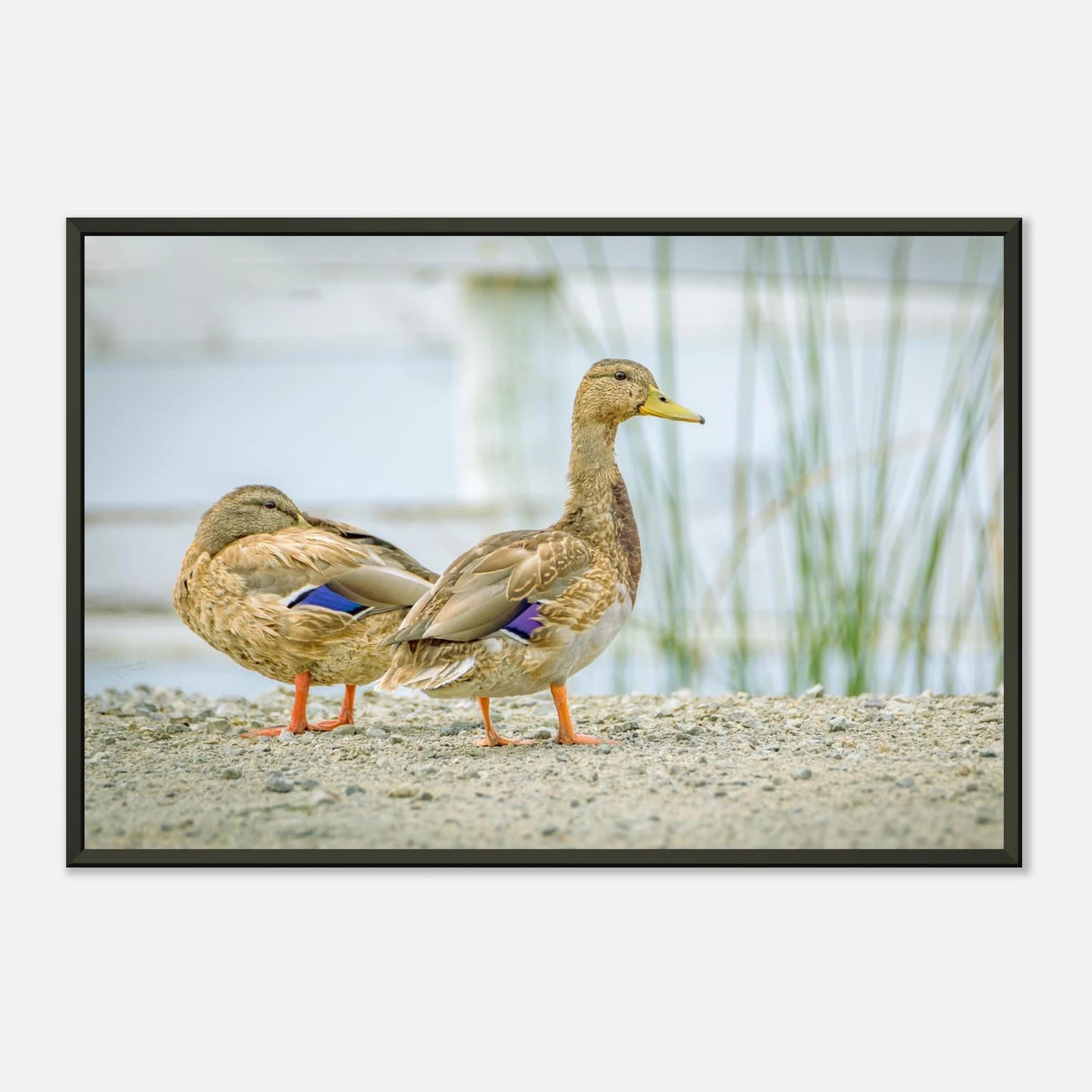 afc42740-a0a2-4999-ab72-2c17e1fd6929