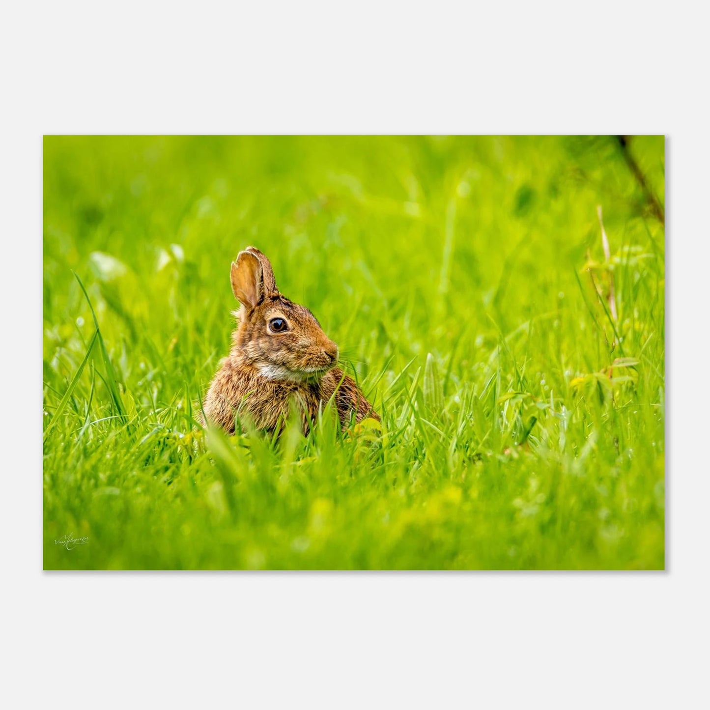 b2170901-aea8-4145-a294-f86ce524fc1a