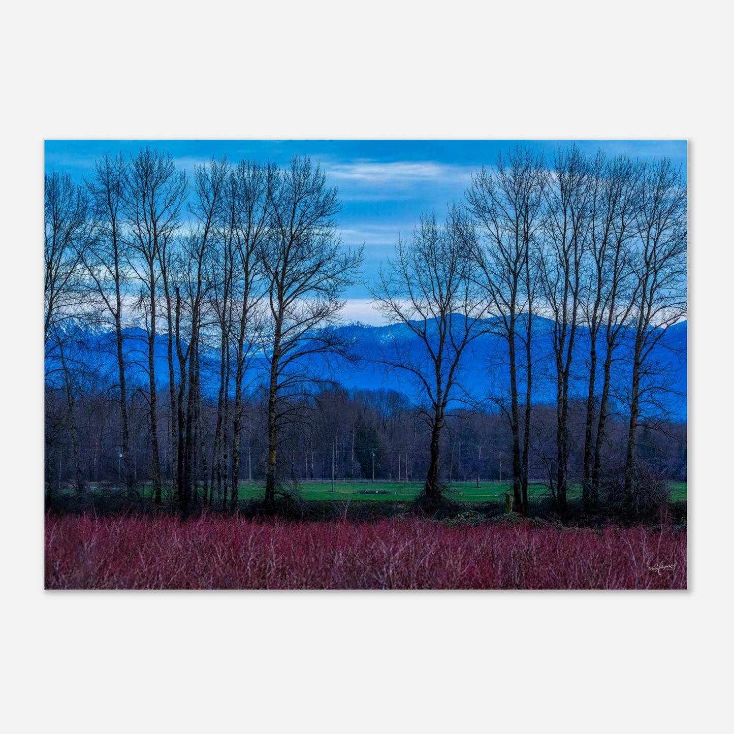 b8cd8e2d-ce13-47f4-89c9-57e3322621b2