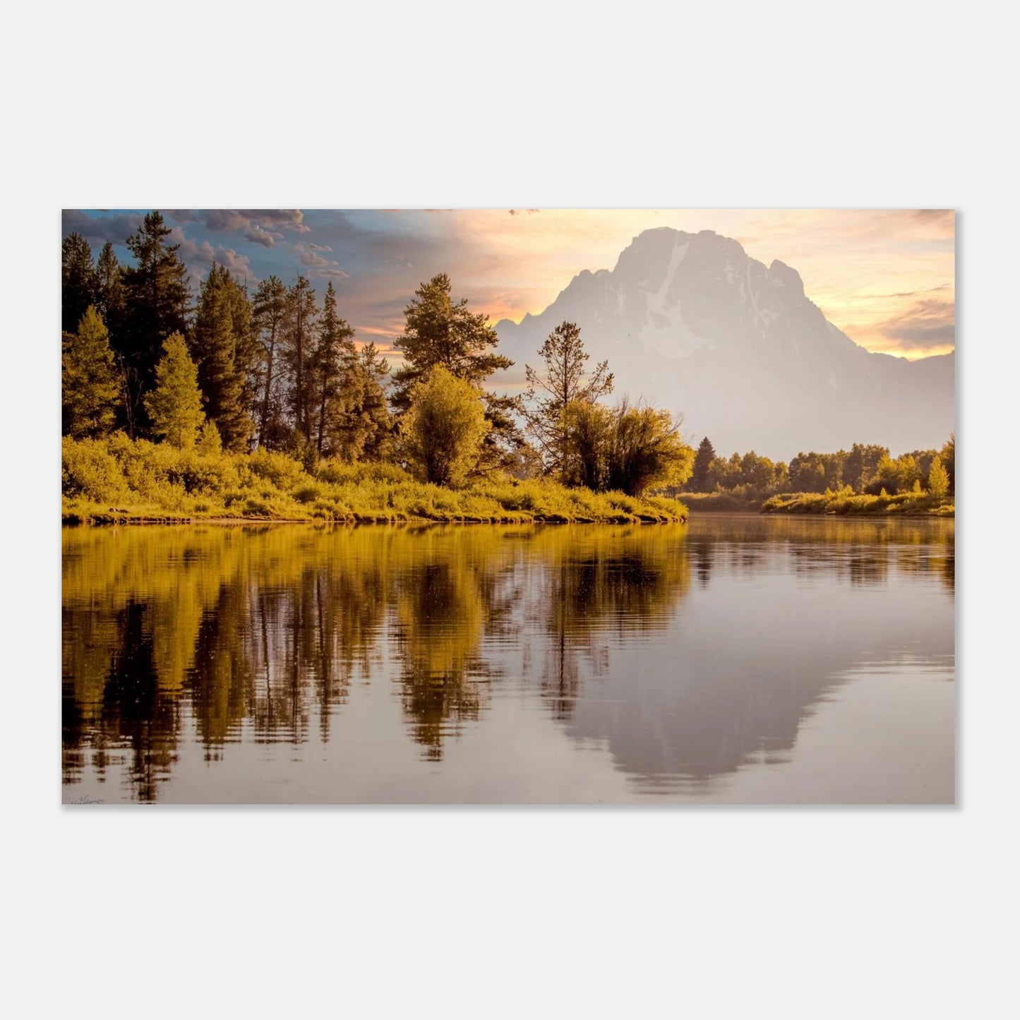 b9d8f88b-a159-4600-8a73-ff8b32b0debc