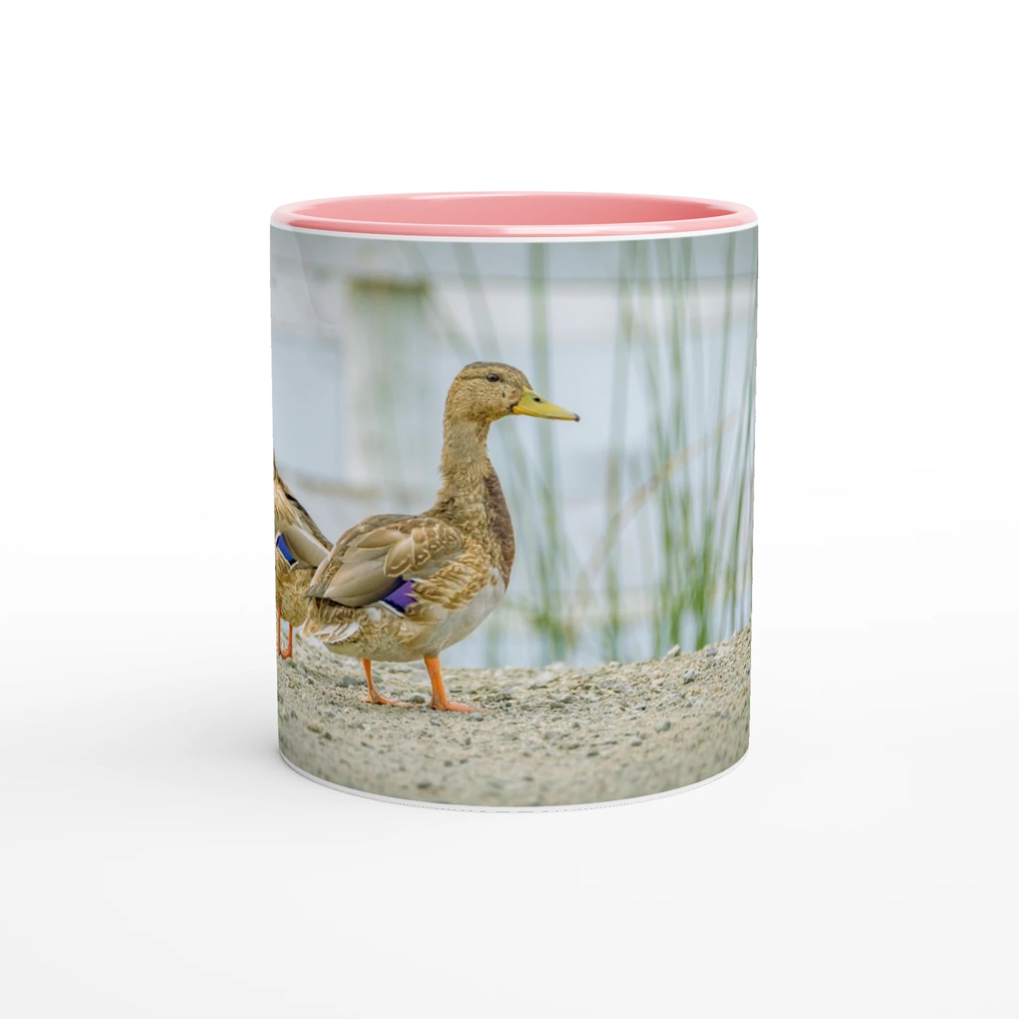 be32df93-d18d-45bd-bdb9-be1ebe214ed2