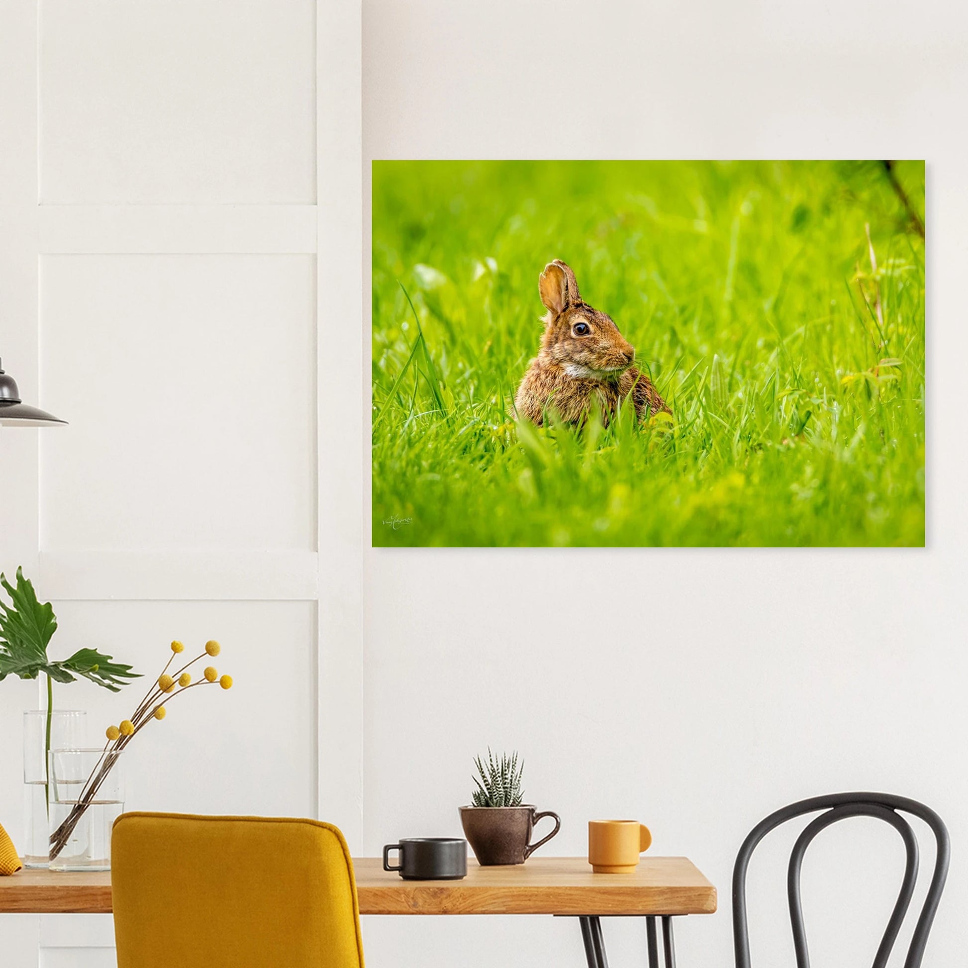 c31af1c3-d46c-4c80-9fa9-5c7405ed6478