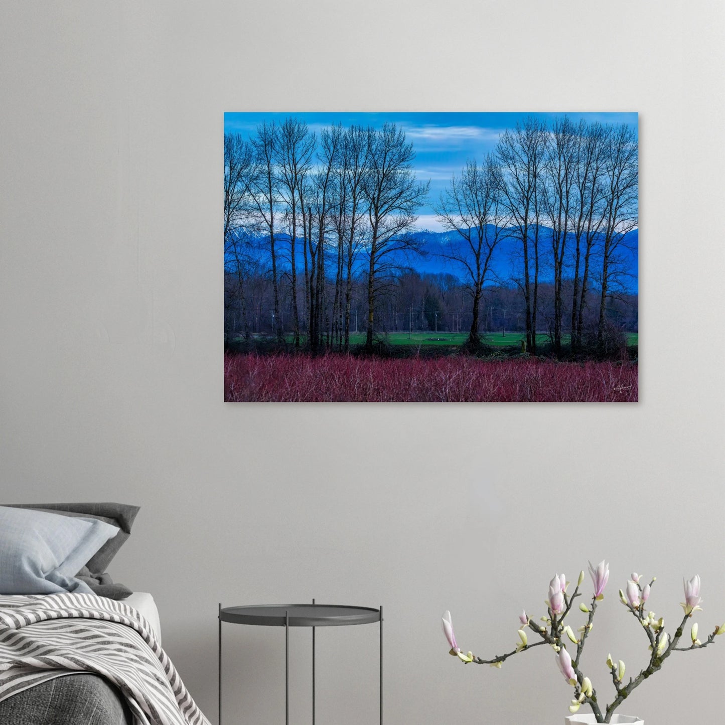 c3c7ae9f-e3df-443e-b537-fd4a29e497c7