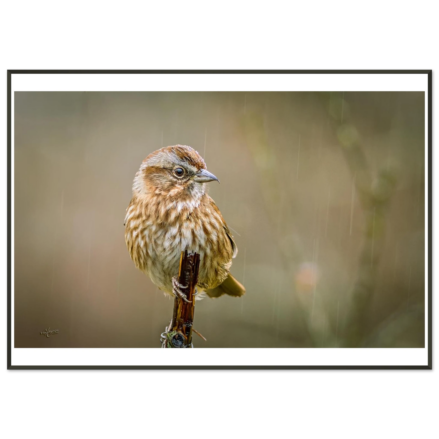 c490c3aa-cf29-4f16-9d60-617803f1e9f8