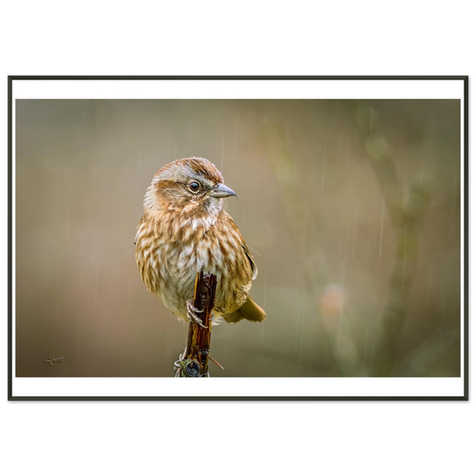 c490c3aa-cf29-4f16-9d60-617803f1e9f8