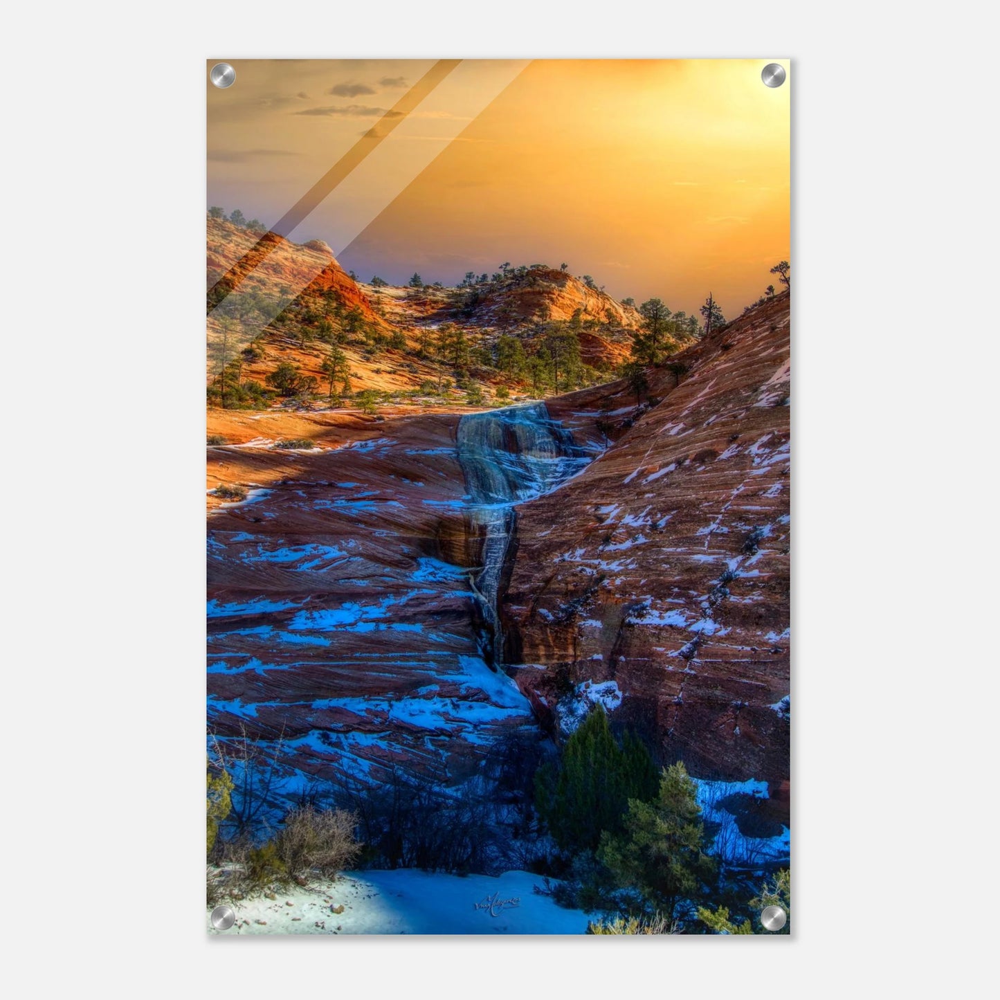 c8f65522-bd6c-4a74-b24b-47e1bf54acec