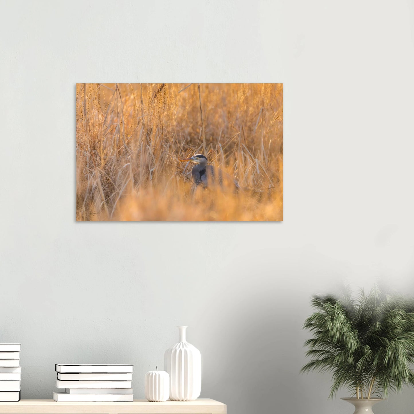 cd8925be-efef-40a6-96eb-2a7b4eab3945