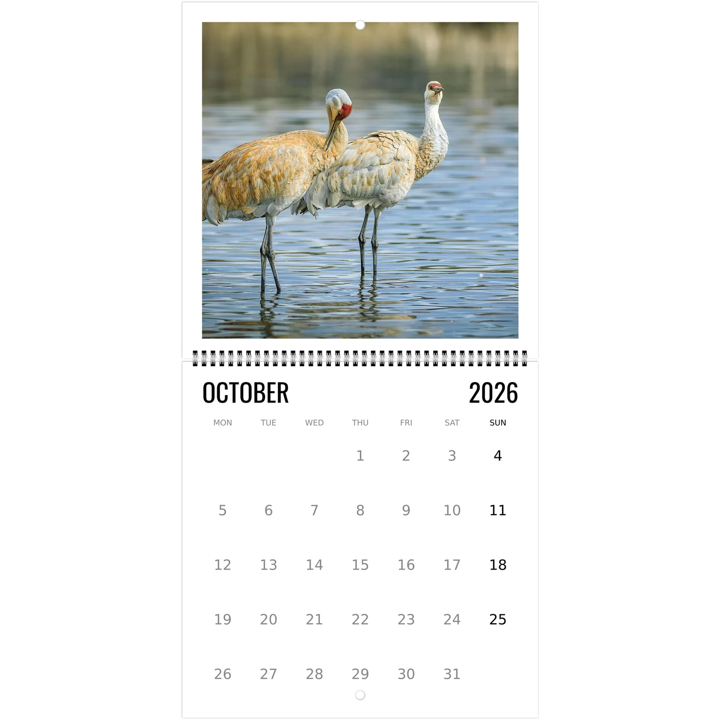 d6fc0b4b-6147-4234-8ef2-f4012bee2c59