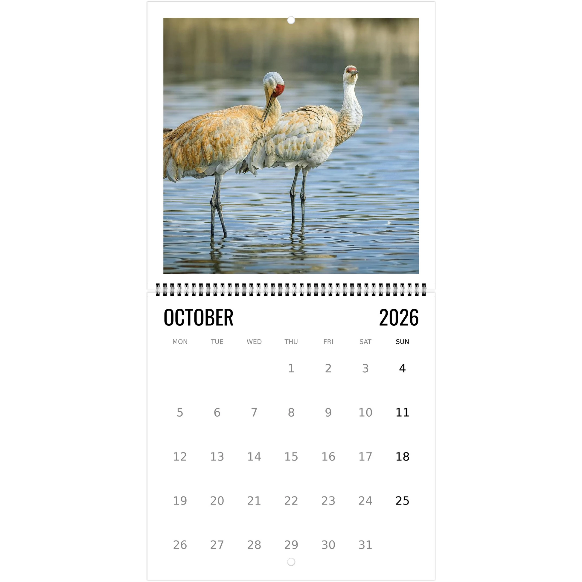 d6fc0b4b-6147-4234-8ef2-f4012bee2c59