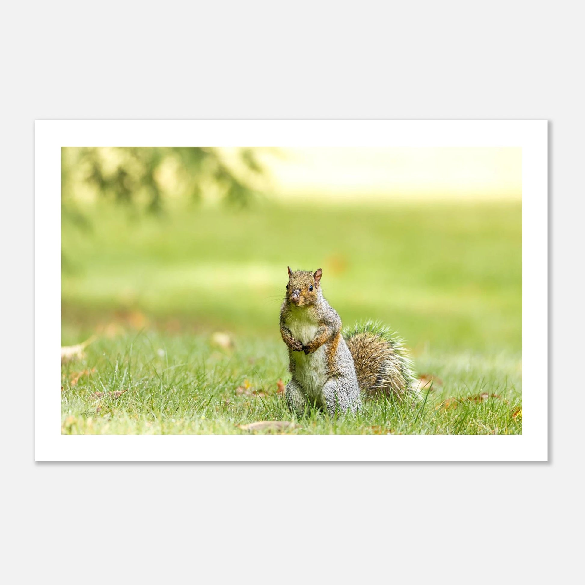 db24a5f6-e1b7-4115-9517-cb02f2227b90