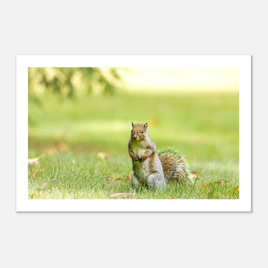 db24a5f6-e1b7-4115-9517-cb02f2227b90