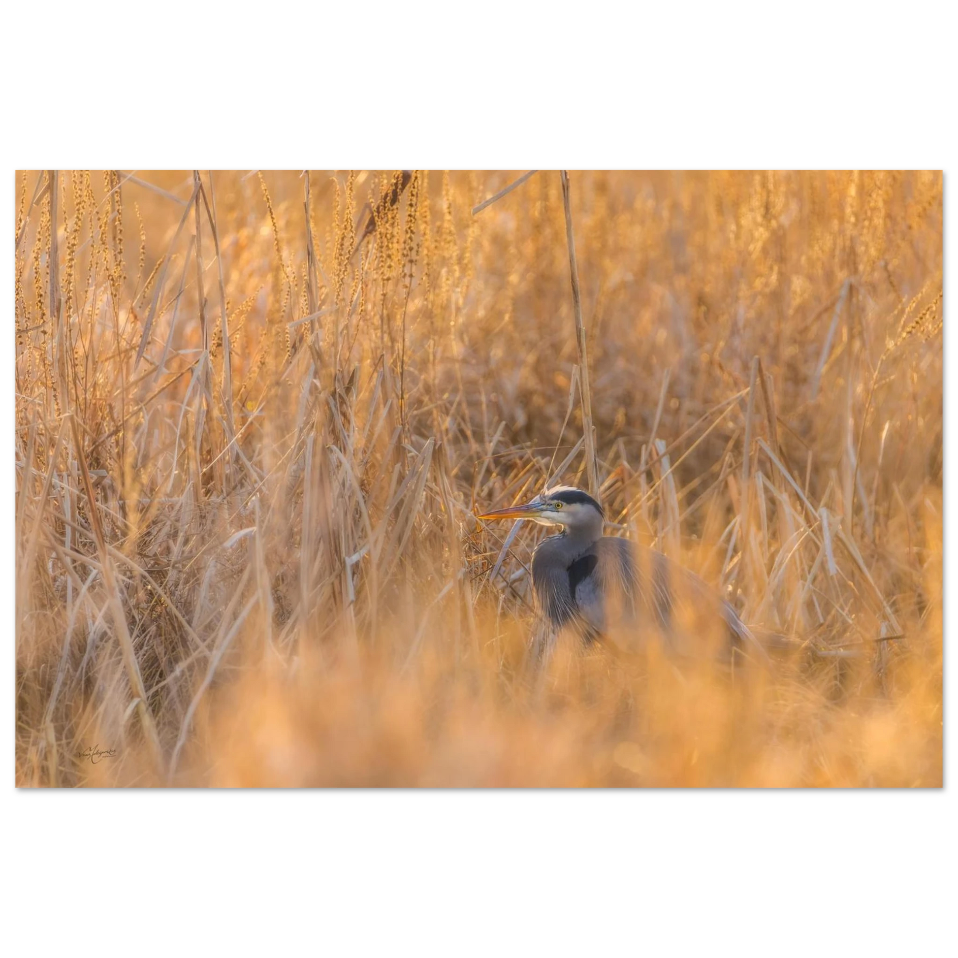 e1b58ad0-3878-452d-9507-b49f179bbe15