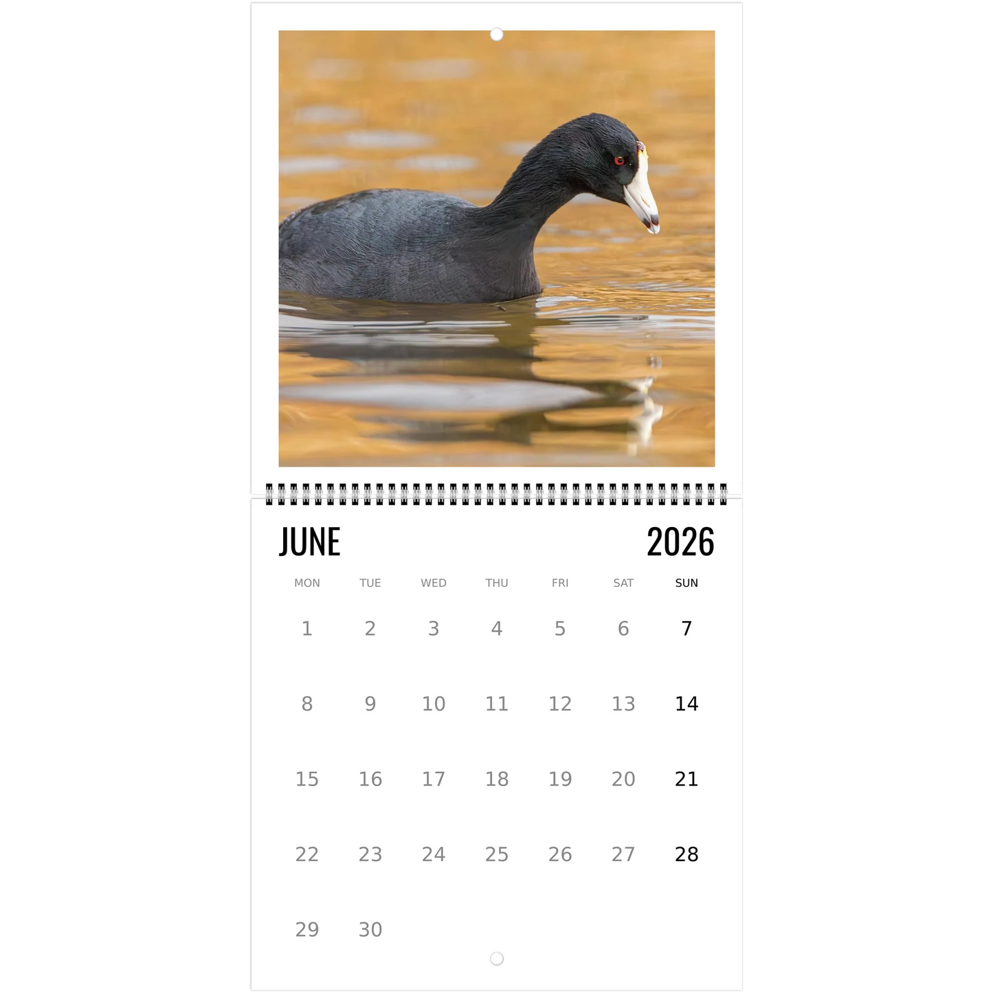 e1feaee5-df00-4cbf-9b47-b817f4e533ba