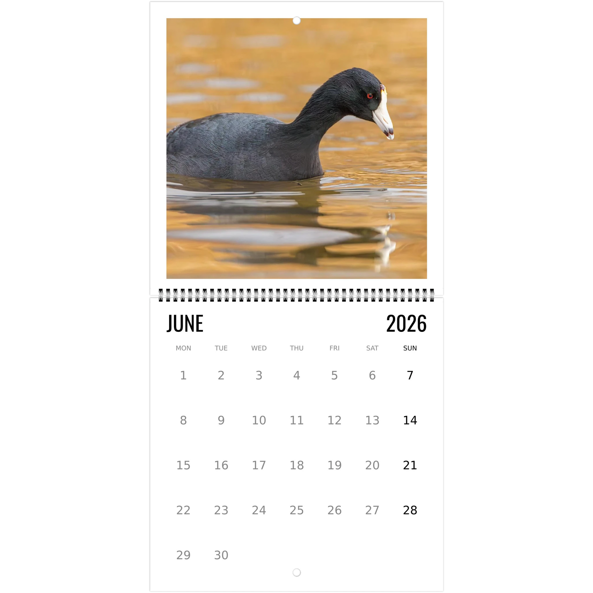 e1feaee5-df00-4cbf-9b47-b817f4e533ba