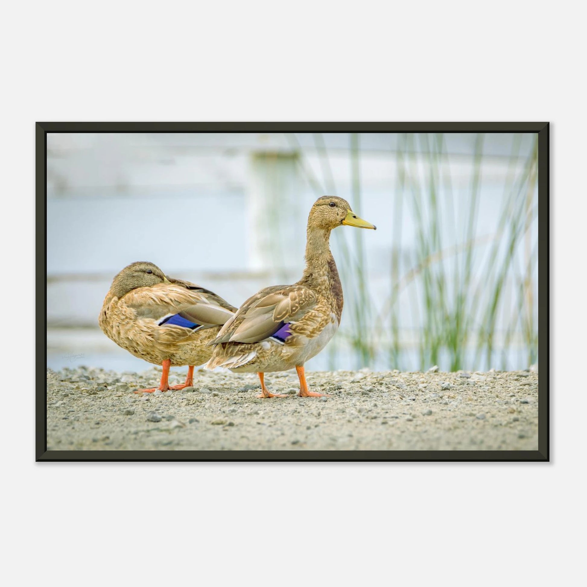 e280c1ae-a969-46a9-858e-494f66b11bd7