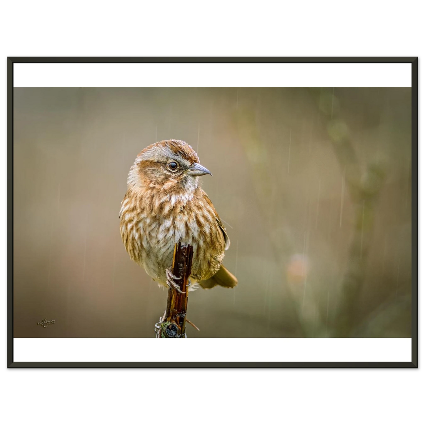 e616321d-3bef-4ab9-b0c9-c3c11abdc42f