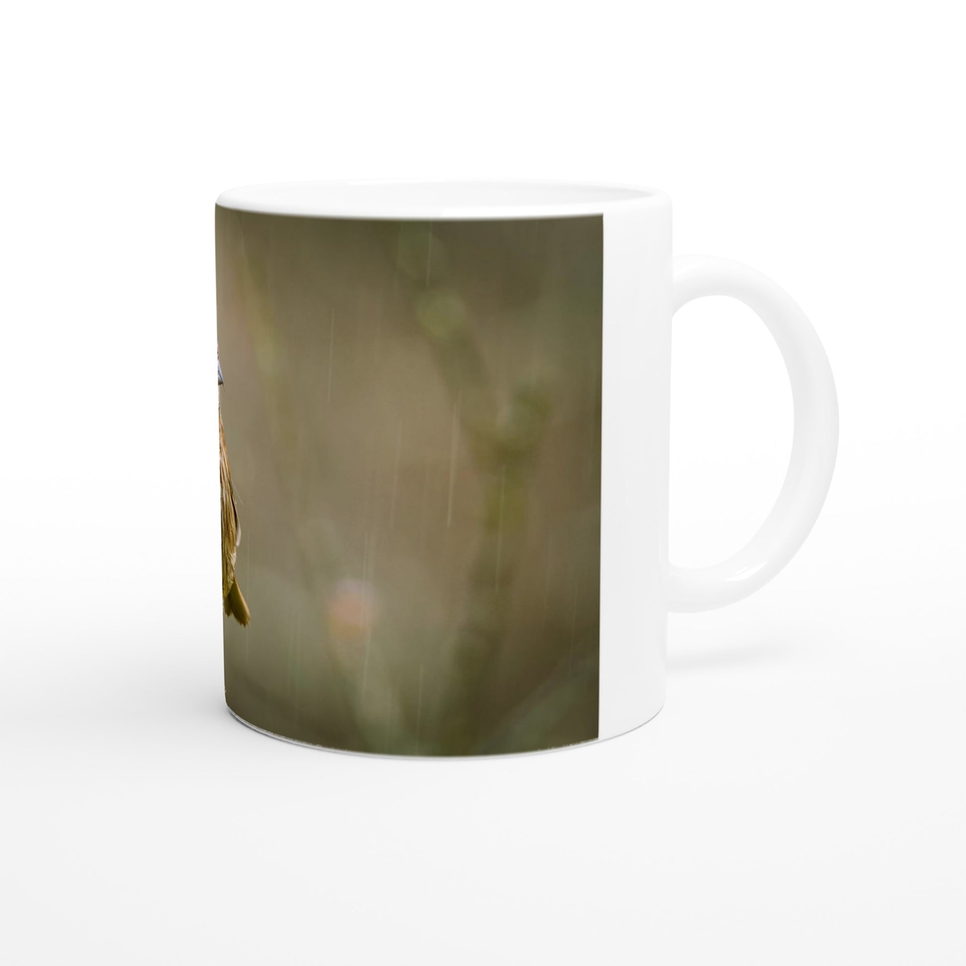 e64bd4be-0719-4f2b-85fa-6c4e7b51aef3