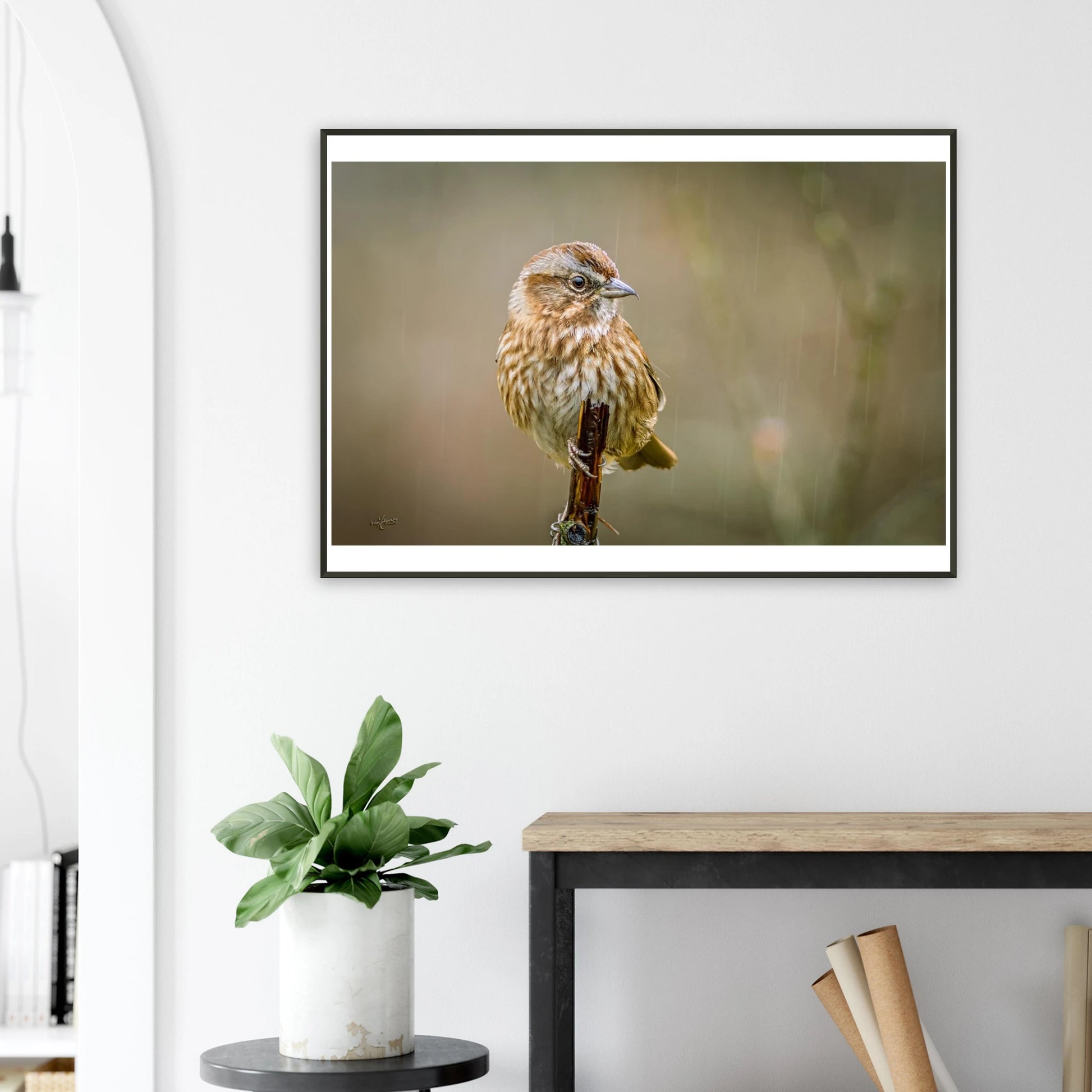 e846df39-4625-4bde-aba1-45635ed75a96