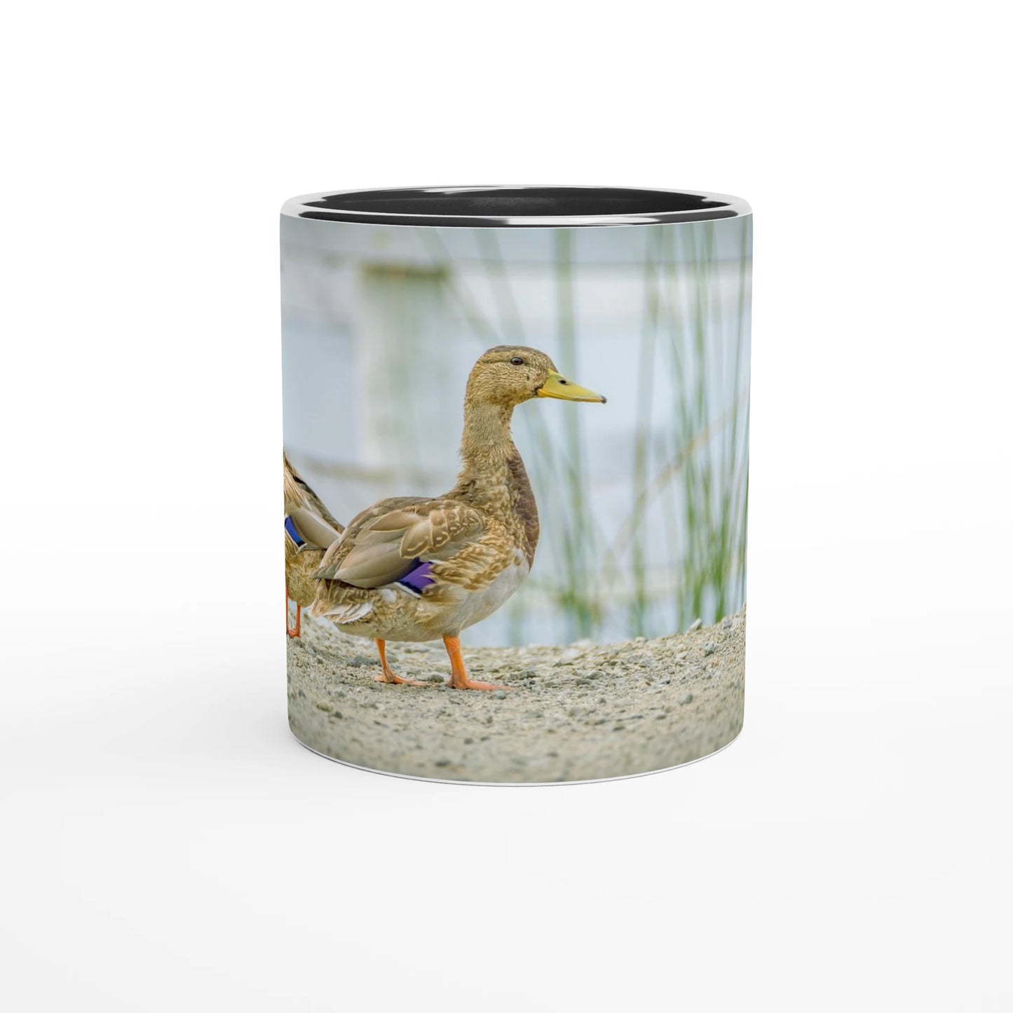 e99b38cb-0e6e-4ffb-91de-6f70466b304f