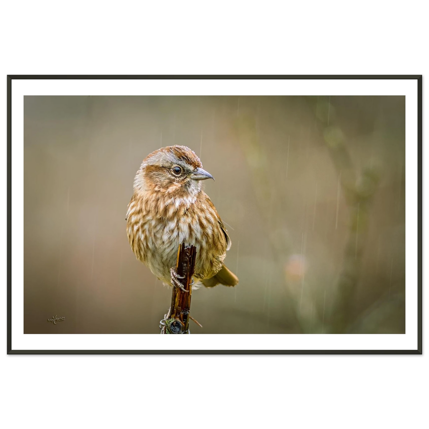 ec357d9a-70fb-448d-a611-cb23a7e766e2