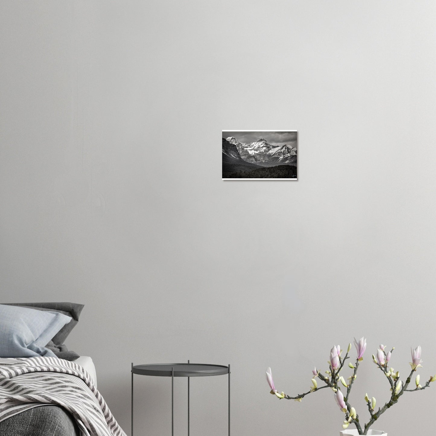 f28058ec-aada-486d-9168-8fe936431514