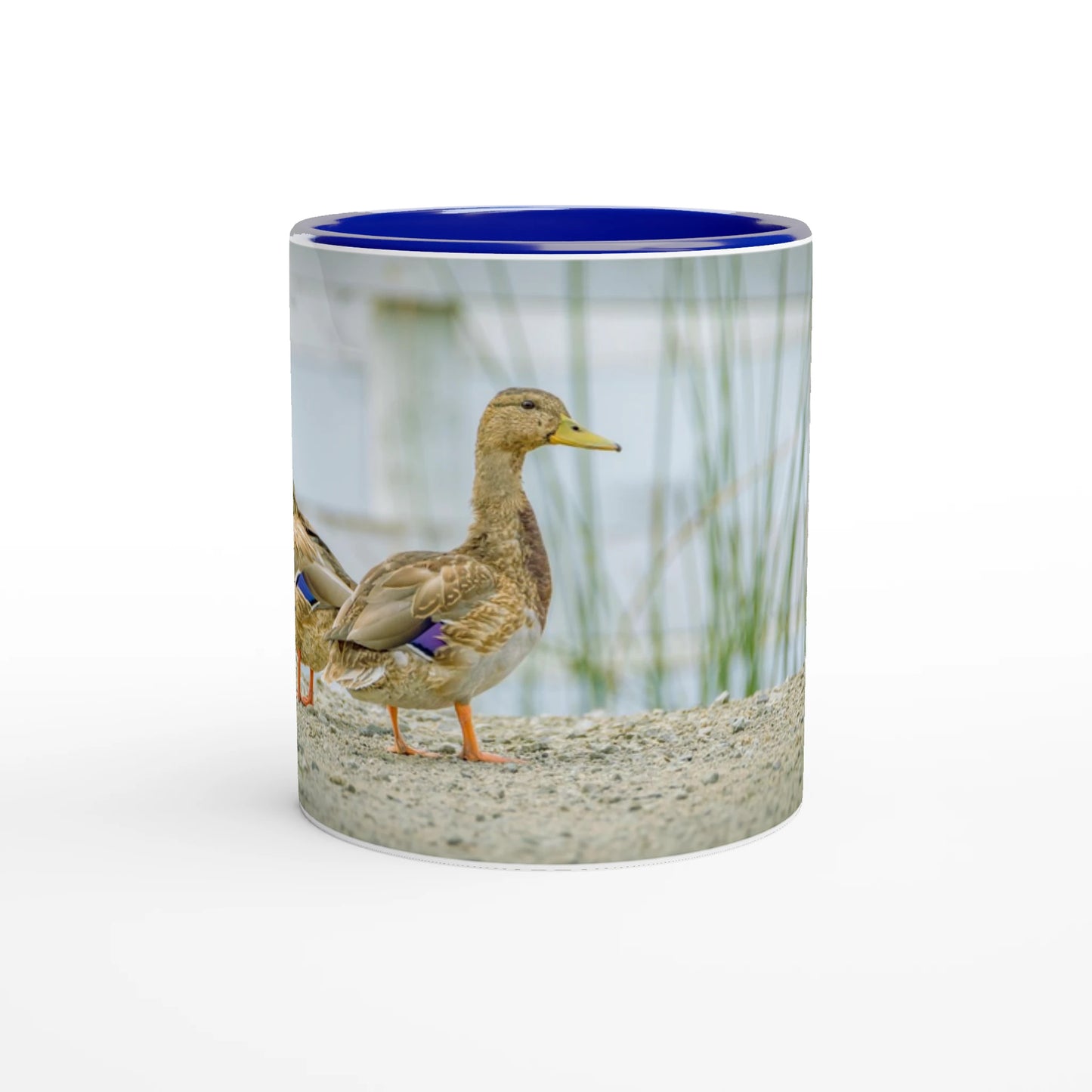 f83ff620-f677-4c8a-bc2d-adce8479c136