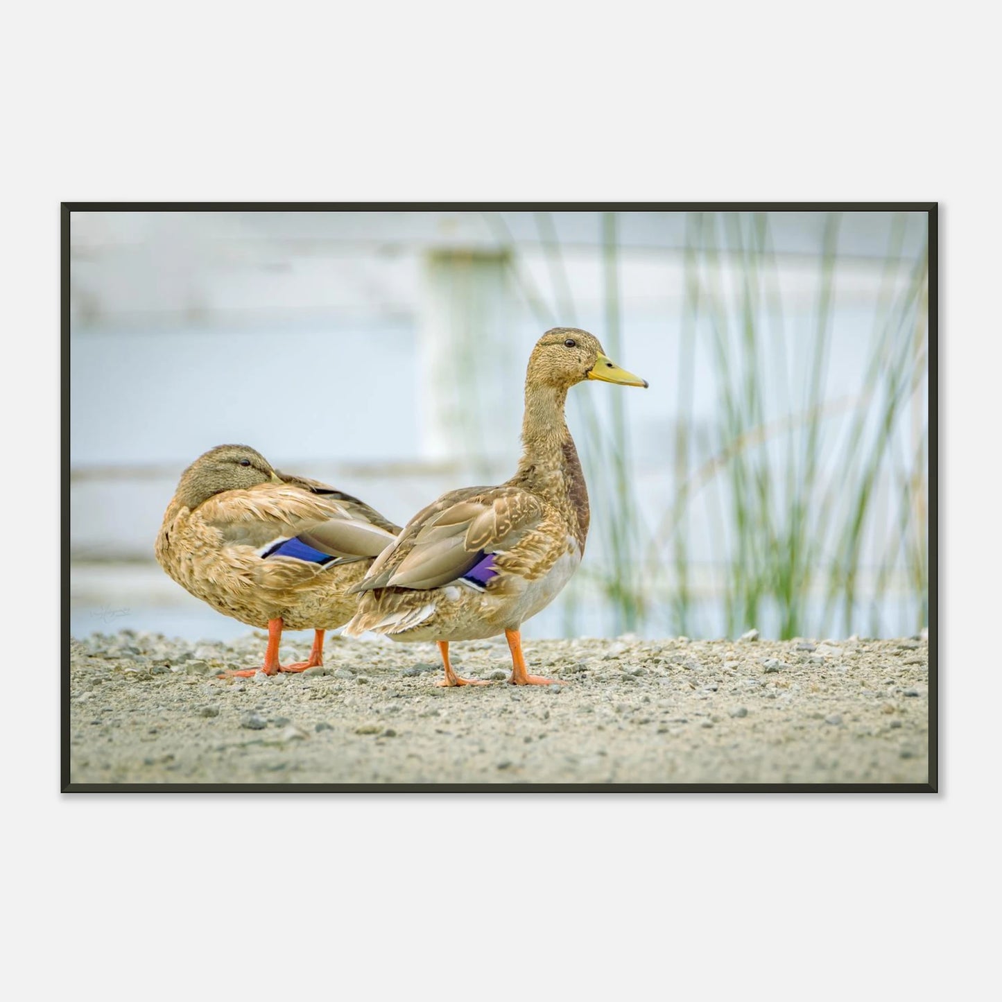 f872cb38-76ca-442e-84a2-c46cd4e2a505