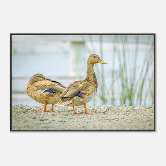 f872cb38-76ca-442e-84a2-c46cd4e2a505