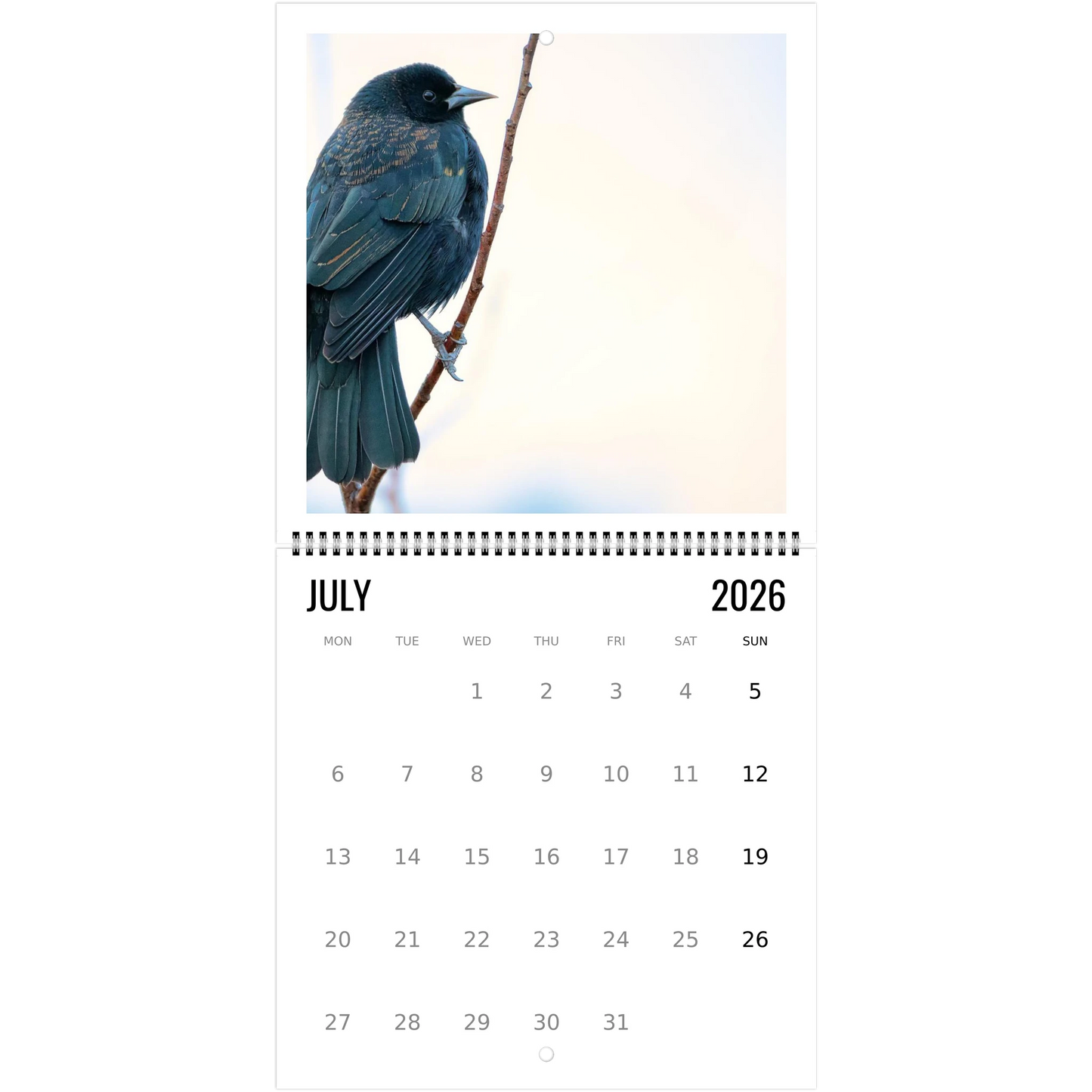 fa1d0b74-b9ed-40af-ab10-1b984f7e589d