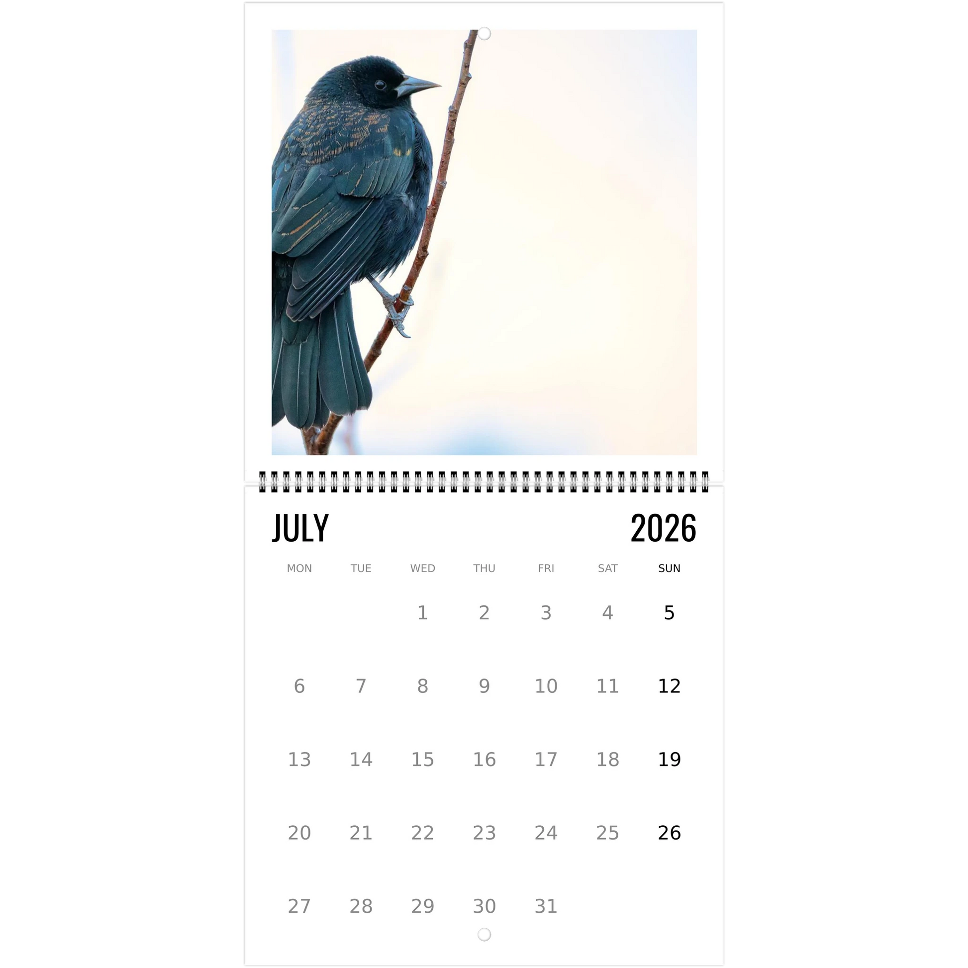 fa1d0b74-b9ed-40af-ab10-1b984f7e589d