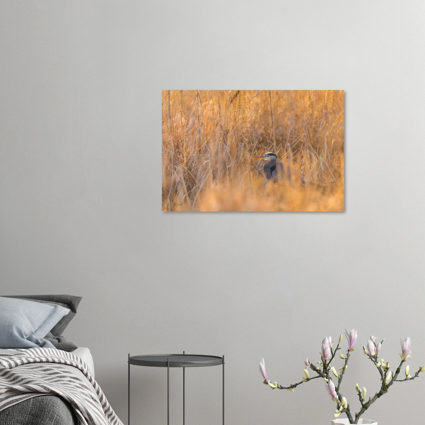 ff6b2242-904b-45ad-ba00-f74d5937712c